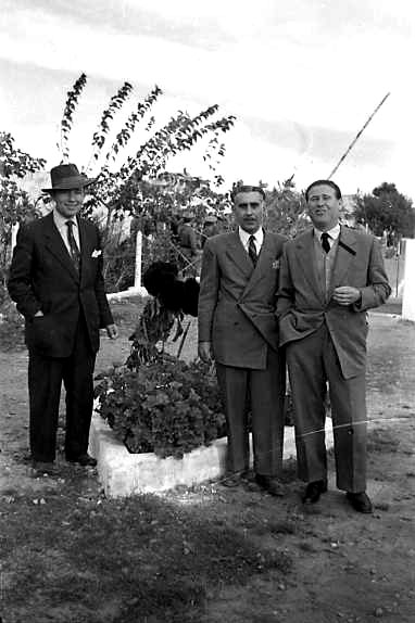 Novembre 1952